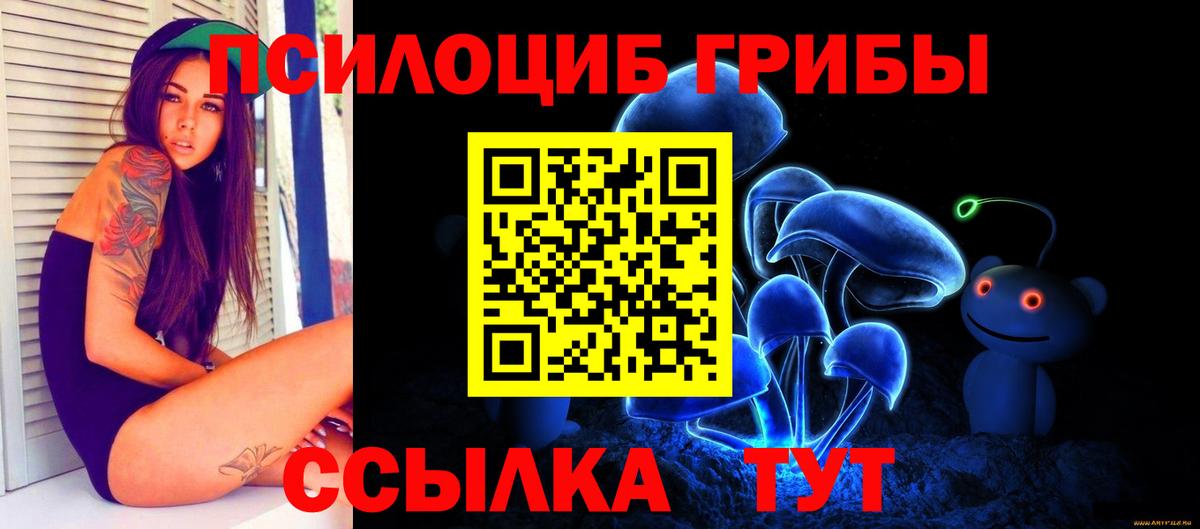 Галлюциногенные грибы Psilocybine cubensis  Галлюциногенные грибы прущие грибы  Вход с VPN  Назрань 